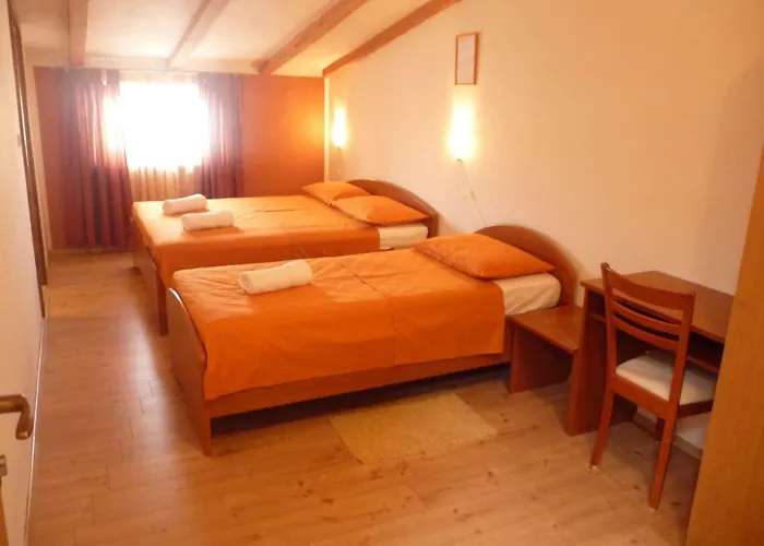 Suran 2 Ρόβινι